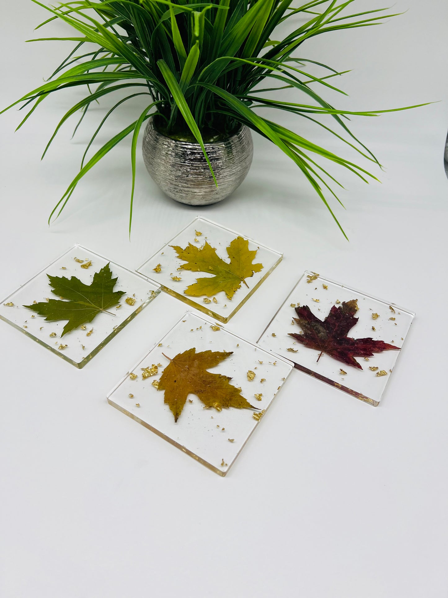 Four Season Maple Coaster